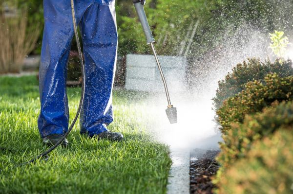Curb Cleaning in Poway