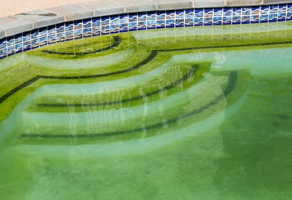 Pool Deck Algae Removal in Poway